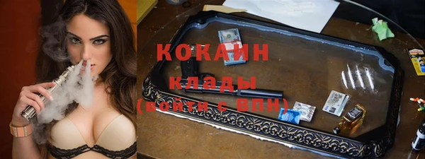 дживик Горняк