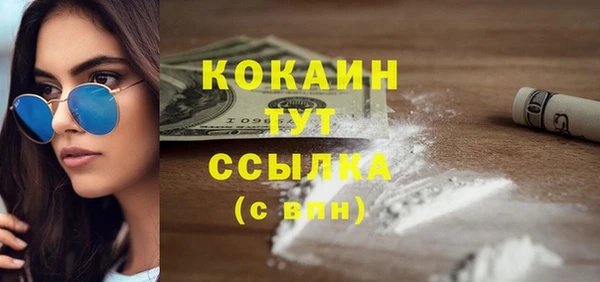 дживик Горняк