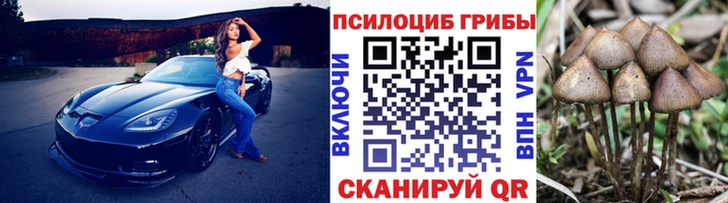 Галлюциногенные грибы MAGIC MUSHROOMS  Купить  Краснозаводск 